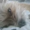 Aaron cormackaaron1@gmail.com - @aaron.cormackaaro - TikTok