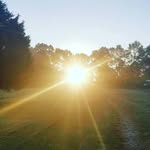 Aaron Cornman - @aaroncornman83 - Instagram