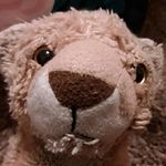 Aaron Cornejo - @aaroncornejo5521 - Instagram
