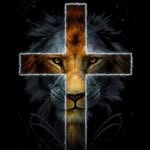 Jack Aaron Cornett - @jackcornett - Instagram