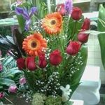 Aaron Corona - @aaron.corona.5059 - Instagram