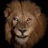 Aaron Corral - @aaron.corral42 - TikTok