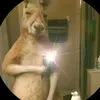 Aarón correa - @edgarcorr_18 - TikTok