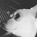 aaron corrigan - @aaroncorr347 - Instagram