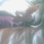 Aaron Corrigan - @corrigan_aaron - Instagram