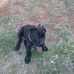 Aaron Corso - Facebook