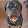 Aaron Coss - @aaron.coss5 - TikTok