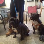 Aaron Coston - @coston8315 - Instagram