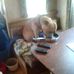 Aaron Cote - Facebook