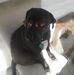 Aaron Couch - Facebook