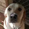 aaroncouch500 - @aaroncouch500 - TikTok
