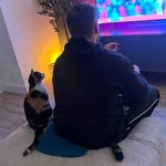 Aaron Coulter - @aaronwigcoulter - Instagram