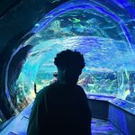 @aaron.couto - Instagram