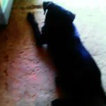 Aaron coutou - @coutouaaron - Instagram