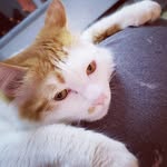 Aaron Couture - @aaroncootie - Instagram