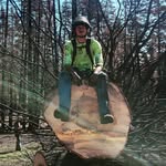 Aaron Cox - @tree.dsm - Instagram