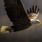 Aaron Crighton - @aaron.crighton.1 - Instagram
