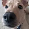 Aaron Criste - @aaron.criste - TikTok