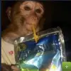 Aaron Croley - @asdfgdsaqesfffffc - TikTok
