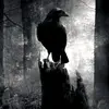 aaron crow - @crowskie24 - TikTok