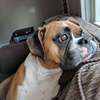 Aaron Singer - @aaron.singer - TikTok