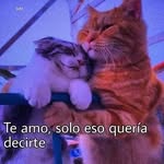 Aaron Cuamni - @aaron_cuamni - Instagram
