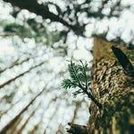 Aaron S. Cuaton - @aaroncuaton - Instagram