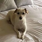 Aaron cubbage - @aaron.cubbage - Instagram