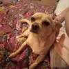 aaron cudd - @aaron.cudd - TikTok