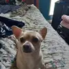 aaron cudd - @aaron.cudd7 - TikTok