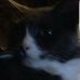 Aaron Cudmore - Facebook