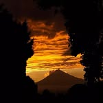 Aaron Cuellar - @aaroncuellar69 - Instagram