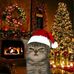 Aaron Cuison - Facebook
