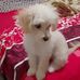 Aaron Cueto - Facebook