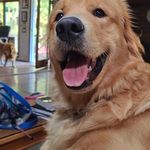 Aaron Curlee - @acurlee - Instagram