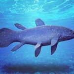 Aaron Curley - @curley5488 - Instagram