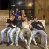 Aaron - @aaron_curtin02 - TikTok