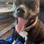 Aaron Cutshaw - @cutshawaaron - Instagram