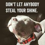 AAron Cyr - @aaron.cyr.524 - Instagram