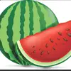 Watermelon - @aaroncyruszaballe - TikTok