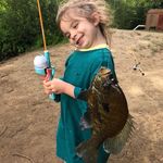 Aaron Dahlquist - @aaron.dahlquist - Instagram