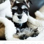 aaron dailey - @dailey7469 - Instagram