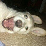Aaron Dale Brezner - @aaron_brezner - Instagram