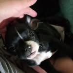 Aaron Daly - @aarondaly67 - Instagram