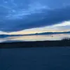 aarondamonkey - @aarondamonkey - TikTok