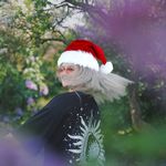 V.Aaron - @aaron.dances - Instagram