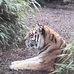 Aaron Dancey - Facebook