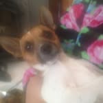 Aarondark - @aarondark2000 - Instagram