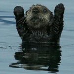 Aaron Decker - @aarondecker64 - Instagram