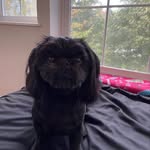 Aaron Decker - @aaron_decker1970 - Instagram